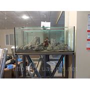 Установка аквариумов и аквариумных систем в Днепропетровске фото