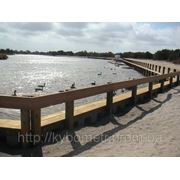 Очиста водоёмов, очистка от камыша, водорослей; фото