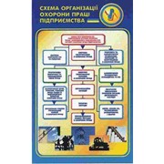 Схема организации охраны труда предприятия 0,6х1,0