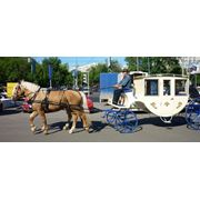 Лошади на свадьбу Москва фотография