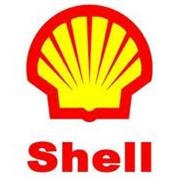 Масляная смазочно-охлаждающая жидкость Shell Fenella Oil D 605 фотография