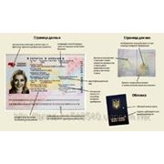 Шенгенские визы, Мультивиза фотография