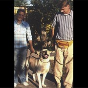 Курс Выставочная подготовка фото