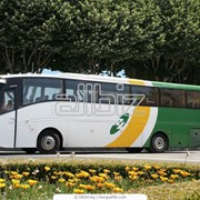 Услуги по организации перевозок групп туристов на автобусах фотография