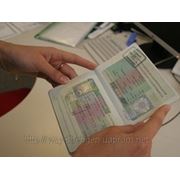 Шенгенские визы в Одессе фото