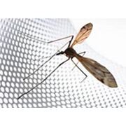 Сетка противомоскитная антимоскитные сетки сетки от насекомых защитные сетки на двери и окна фото