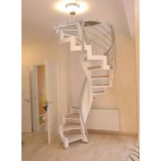 Тетивные лестницы в Киеве. Компания Scala предлагает широкий выбор лестниц из монолитного железобетона помощь в проектировании и изготовлении таких лестниц. Прямая или поворотная винтовая лестница или эллиптическая тетивная или косоурная модульная