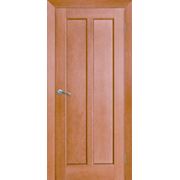 Двери внутренние межкомнатные ТМ Омис из массива. фото