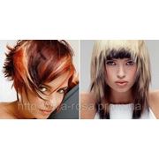 Окрашивание волос, краской INOA от L'ORIAL 2 длина от 15см до 25см фото