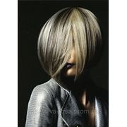 Окрашивание волос, краской ABSOLUTES, INTENSIVE, NEW от Schwarzkopf 2длина от 15см до 25см фото