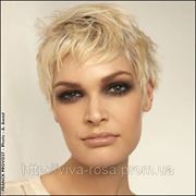 Окрашивание волос, краской Blond от Schwarzkopf 1длина до 15см фото