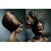 Окрашивание волос, краской ABSOLUTES, INTENSIVE, NEW от Schwarzkopf 4длина свыше 40см фото
