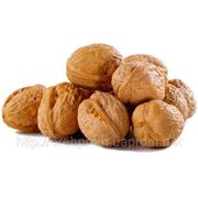 Walnuts in the shell of Ukrainian exports.