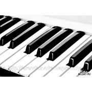 Клавишные инструменты фото