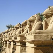 Отдых в Египте фотография