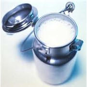 Молоко мелкий опт фотография