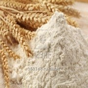 Wheat Flour Of First Grade фото
