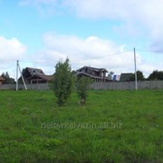 Земельный участок 40,66 соток в деревне Мышино Калязинского района Тверской области фото
