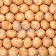 Картофель семенной, посадочный фото