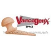 Спейсер тазобедренного сустава Vancogenx фото