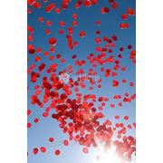Запуск шаров, сердце из шаров, шары с гелием, украшение воздушными шарами фото
