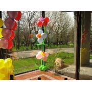 Воздушные шары Днепропетровск, шары, шарики, шары с гелием, летающие шары фото