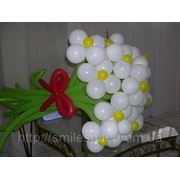 Цветы из шаров Киев фото