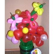 Цветок из шариков Киев фото