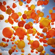 Воздушные шары в Полтаве фотография