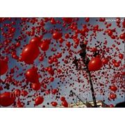 Доставка воздушных шаров на 8 марта фото