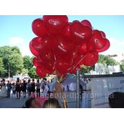 Воздушные шары Днепропетровск фото