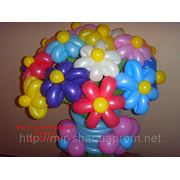 Букет шарами из 17 цветков фото