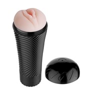 Мастурбатор-вагина с многоуровневой вибрацией pink pussy Baile Bm-00900t31z
