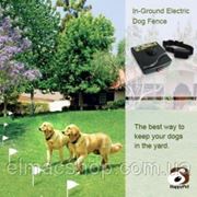 Электронный забор + ошейник для собак, модель 2013 г. фото