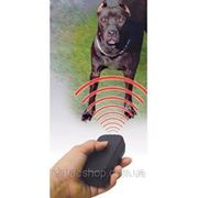 Ультразвуковой отпугиватель собак с фонариком DL-01