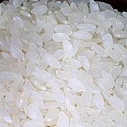 Рис круглый крымский