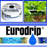 Капельная трубка EuroDrip (Евродрип), 6 мил, капельницы через 30см, 1.3 л/ч, Греция фото