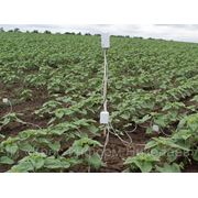 Система мониторинга влажностно-температурного режима почвы в растениеводстве фото