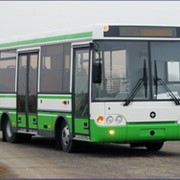 Автобус ПАЗ-3237
