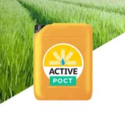 актив нижняя. актив нижняя. где самые дешевые подгузники в астрахани. актив нижняя. актив нижняя.