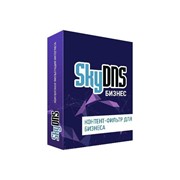 Интернет-фильтр SkyDNS Бизнес 200 лицензий на 1 год [SKY_Bsn_200] (электронный ключ) фото
