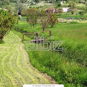 Межевание земельных участков фото