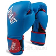 Перчатки боксёрские детские EVERLAST PROSPECT PU P00001644 6 унций Синий фото