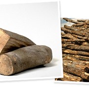 Дрова из различных пород древисины