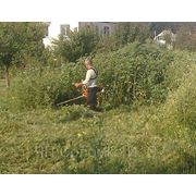 Покос травы, камыша либо кустарника кусторезом в Днепропетровске фото