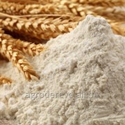 Мука пшеничная высшего сорта