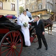 Кареты деревянные,Одесса фото