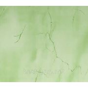 Паутина зеленая 250х6000х5мм. Пластиковые панели (ПВХ) Магнетик фото