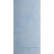 Вагонка пластиковая Люкс Лак (Мрамор голубой) (6000х250х8 мм)