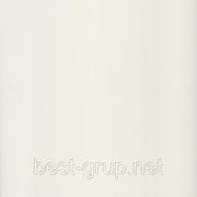 Молочно-белый 250х6000х10мм. Пластиковые панели (ПВХ) Стимекс коллекции ELEGANS фотография